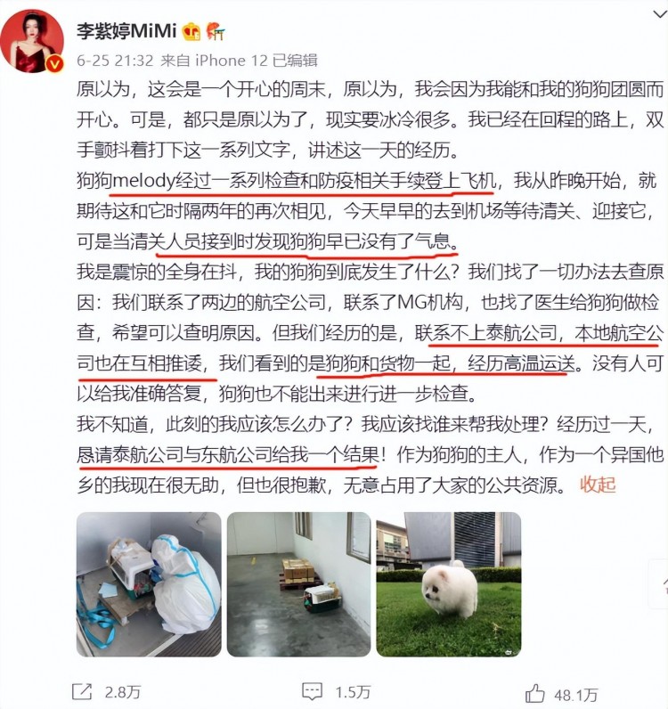 女性明星花费数万元托运爱犬，结果狗还死在货舱里......