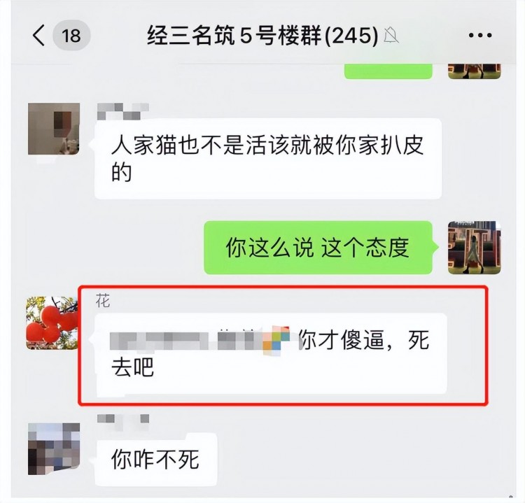 我找了一天的猫成了邻居口中的美味