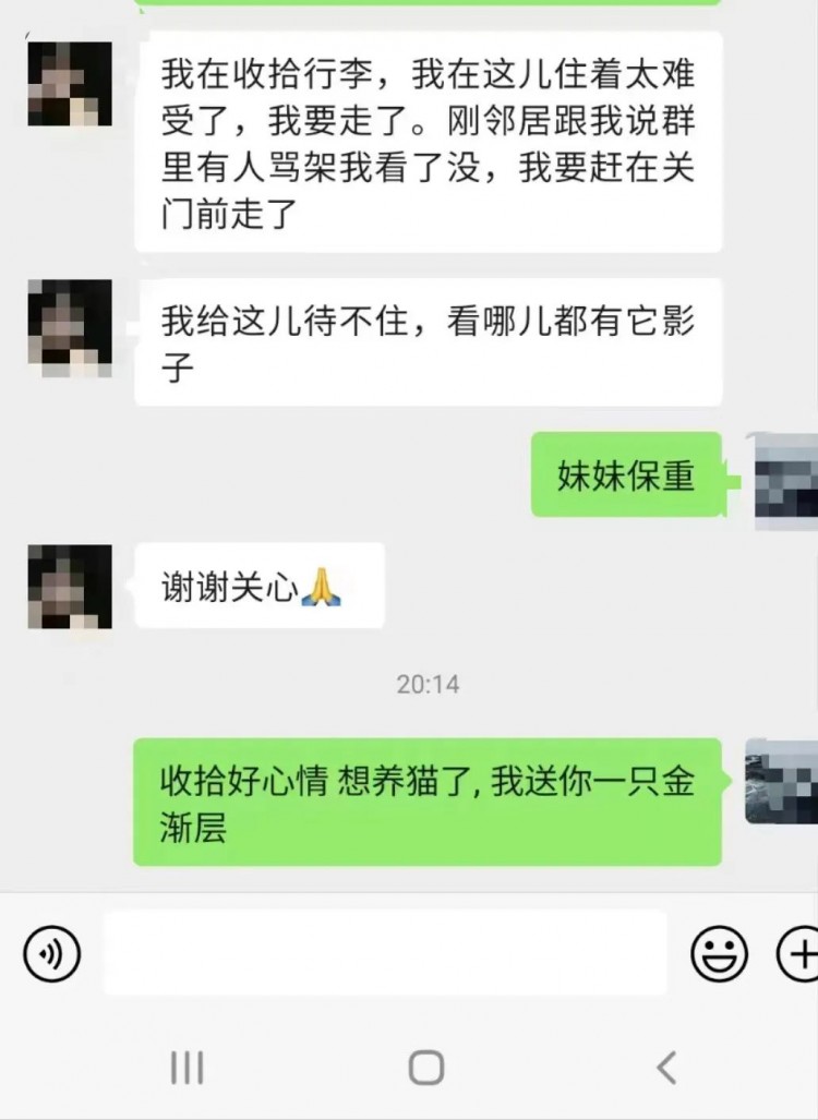 我找了一天的猫成了邻居口中的美味