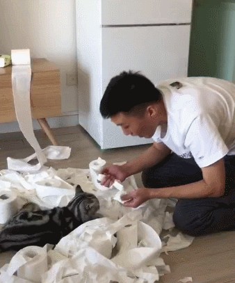 为什么上厕所时猫主子非要跟着去最后一点好暖心！